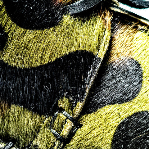 Meanforme Piper Pony